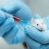انشا غیرطنز درد دل یک موش آزمایشگاهی