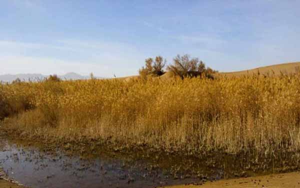 عکس های بی نظیر از کویر زیبای ایران عکس های بی نظیر از کویر زیبای ایران