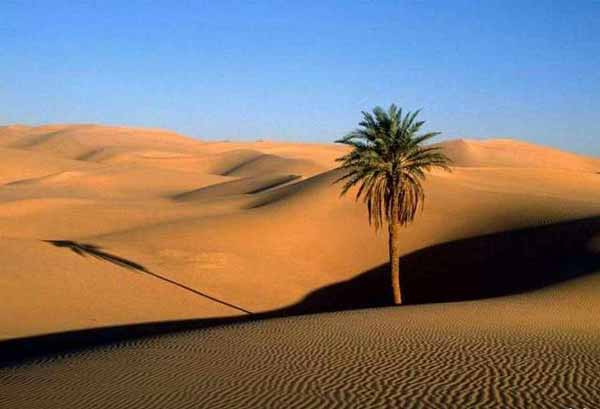 عکس های بی نظیر از کویر زیبای ایران عکس های بی نظیر از کویر زیبای ایران