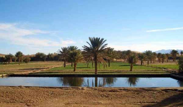 عکس های بی نظیر از کویر زیبای ایران عکس های بی نظیر از کویر زیبای ایران