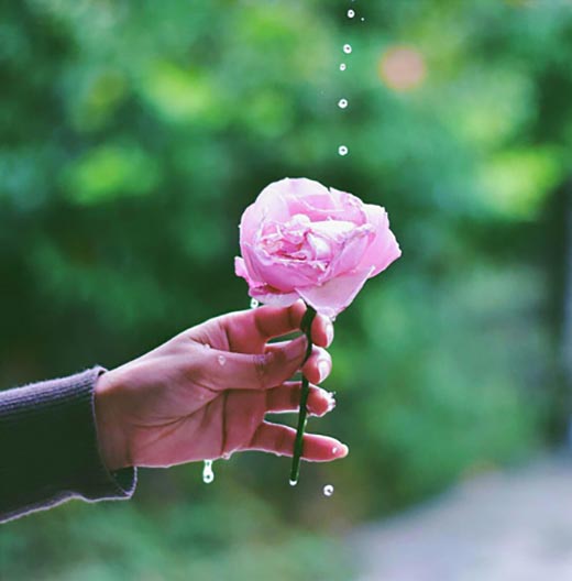 تصاویر و متن های ادبی زیبا در مورد زندگی تصاویر و متن های ادبی زیبا در مورد زندگی