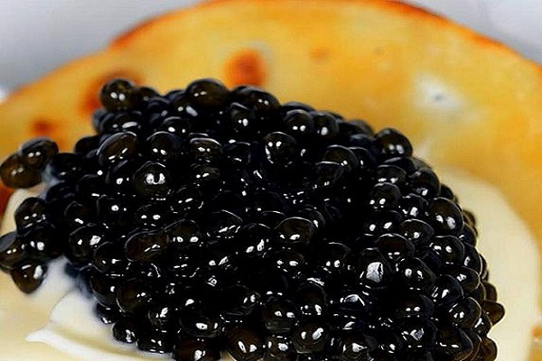 انواع ماهی های خاویاری و طرز تهیه آن