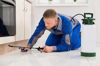 سم پاشی برای از بین بردن حشرات