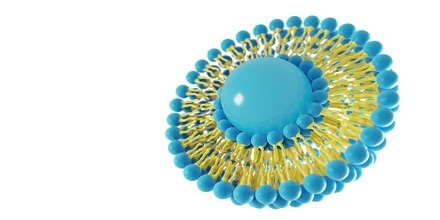 لیپوزوم چیست؟