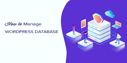افزونه مدیریت دیتابیس در پنل وردپرس