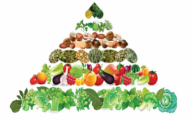 مقاله درباره رژیم گیاه خواری